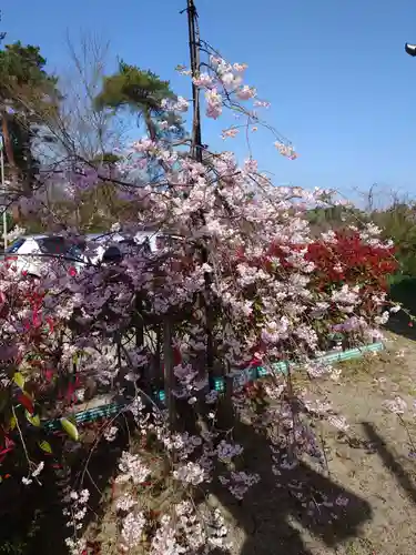 上道神社(新潟県)
