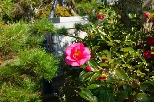 誉田八幡宮の庭園