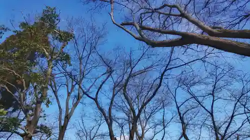 神明社（国府宮神明社）の景色