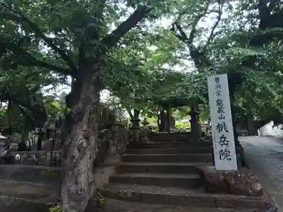 桃岳院の山門・神門
