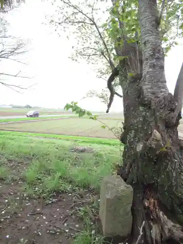 神明神社(千葉県)