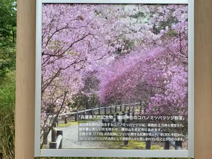 廣田神社のその他建物