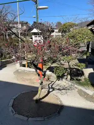 貴布袮神社(福岡県)