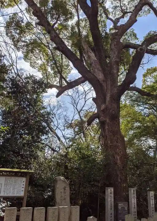 原田神社の自然