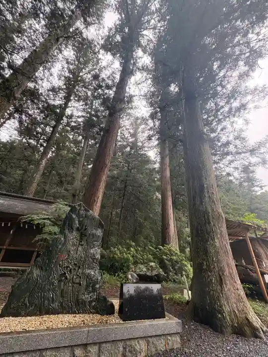 小國神社の{uncategorized: "未分類", other: "その他", undefined: "問題あり", building: "その他建物", grave: "お墓", sacred_gate: "鳥居", guardian: "狛犬", statue: "像", buddha: "仏像", history: "歴史", nature: "自然", garden: "庭園", animal: "動物", pagoda: "塔", temizu: "手水舎", mountain_gate: "山門・神門", sanctuary: "本殿・本堂", subordinate: "末社・摂社", art: "芸術", scenery: "景色", jizo: "地蔵", ema: "絵馬", goshuin: "御朱印", omikuji: "おみくじ", items: "授与品その他", amulet: "お守り", goshuincho: "御朱印帳", eats: "食事", festival: "お祭り", votive_dance: "神楽", shichigosan: "七五三参", wedding: "結婚式", experience: "体験その他", initially: "初詣", around: "周辺", anti_infection: "感染症対策"}