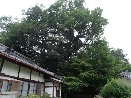 神坐日向神社（大神神社摂社）の本殿・本堂