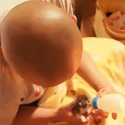 天王山 安楽寺(福井県)