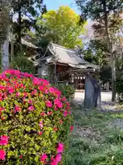 佐野赤城神社(栃木県)