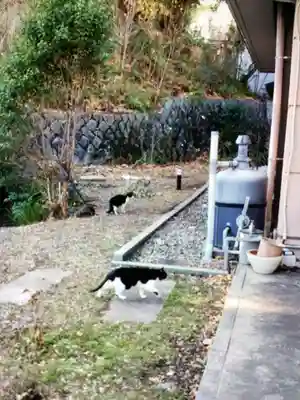 白金氷川神社(東京都)