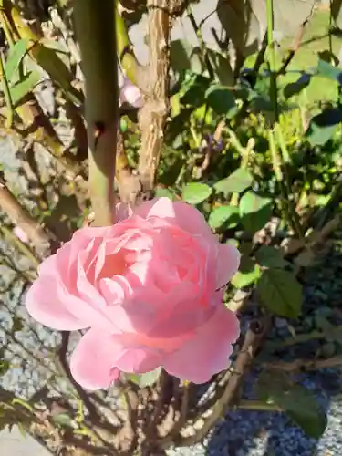 円満寺(山形県)