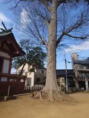 香取神社(千葉県)
