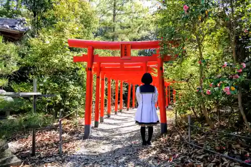 満福寺（三好稲荷閣）の{uncategorized: "未分類", other: "その他", undefined: "問題あり", building: "その他建物", grave: "お墓", sacred_gate: "鳥居", guardian: "狛犬", statue: "像", buddha: "仏像", history: "歴史", nature: "自然", garden: "庭園", animal: "動物", pagoda: "塔", temizu: "手水舎", mountain_gate: "山門・神門", sanctuary: "本殿・本堂", subordinate: "末社・摂社", art: "芸術", scenery: "景色", jizo: "地蔵", ema: "絵馬", goshuin: "御朱印", omikuji: "おみくじ", items: "授与品その他", amulet: "お守り", goshuincho: "御朱印帳", eats: "食事", festival: "お祭り", votive_dance: "神楽", shichigosan: "七五三参", wedding: "結婚式", experience: "体験その他", initially: "初詣", around: "周辺", anti_infection: "感染症対策"}