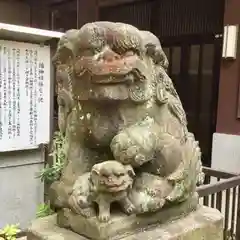 柏神社の狛犬