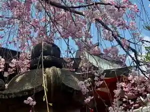 御霊神社(奈良県)(2025年04月07日(月) 12時24分30秒投稿)