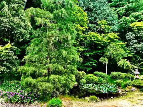 国上寺(新潟県)