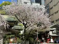 露天神社（お初天神）(大阪府)