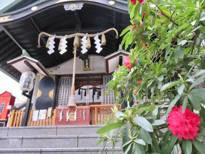 築土神社の本殿・本堂