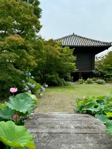 東寺（教王護国寺）(京都府)