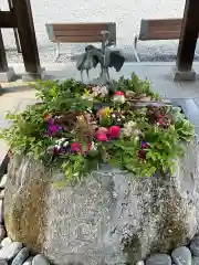 白鷺神社(栃木県)