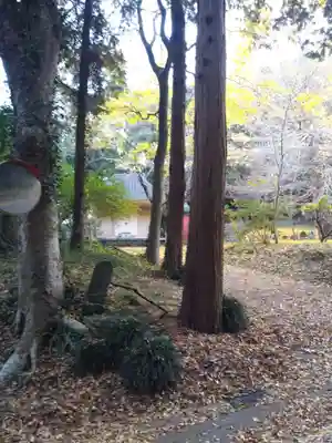 大生山延命院観世音寺の周辺
