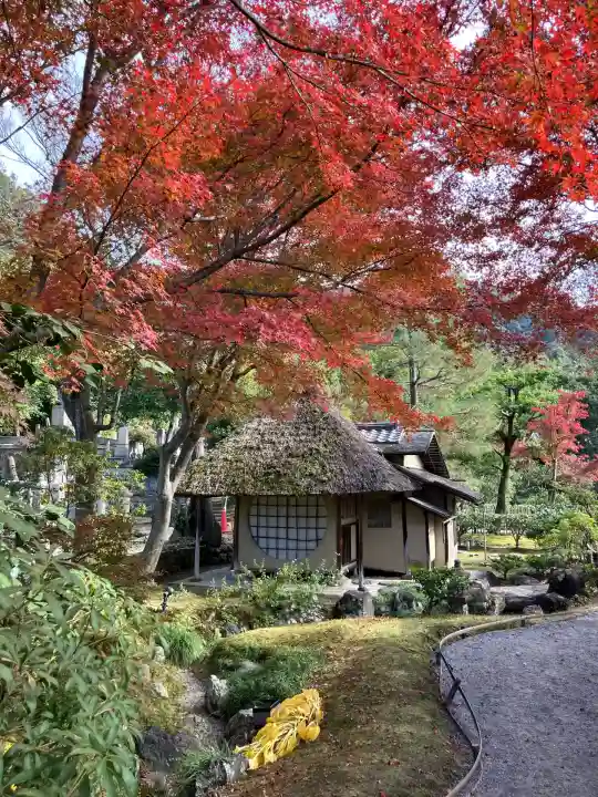 高台寺(高台寿聖禅寺・高臺寺)(京都府)