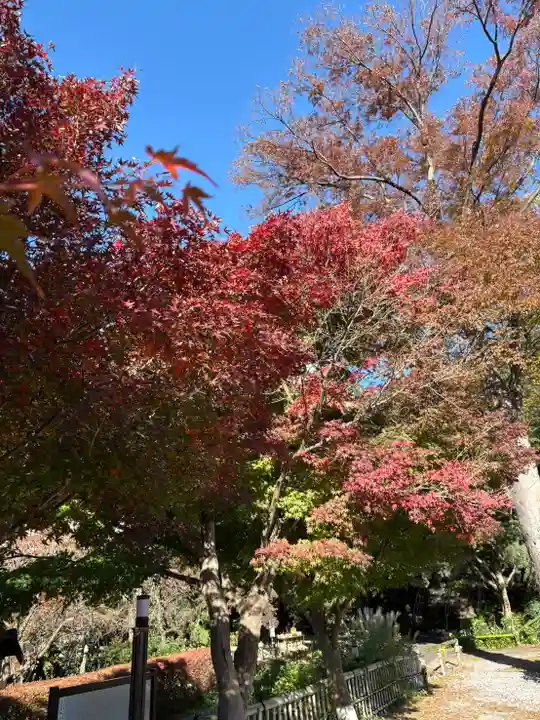 心行寺(神奈川県)
