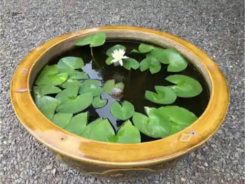 阿佐ヶ谷神明宮の庭園