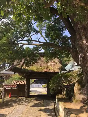 清澄寺の山門