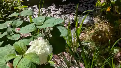 宝蔵寺(京都府)