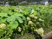 青龍山 吉祥寺(群馬県)