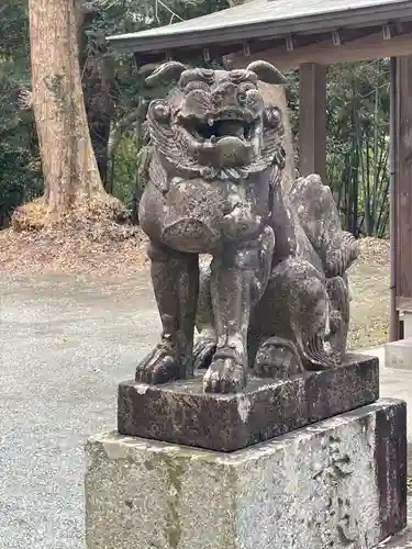 五所八幡宮の狛犬