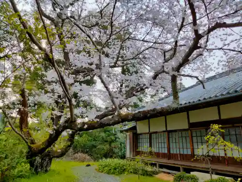 伊太祁曽神社の庭園