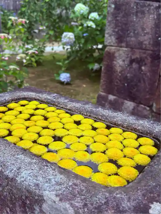 本光寺の手水舎