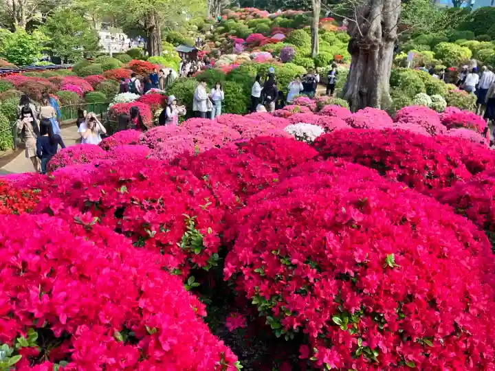 根津神社の自然