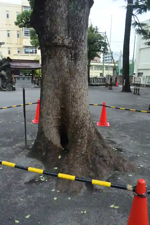 お三の宮日枝神社(神奈川県)
