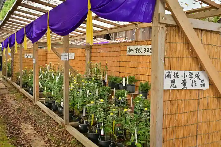 普光寺(新潟県)