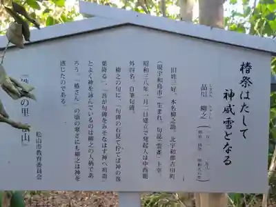 伊豫豆比古命神社(愛媛県)