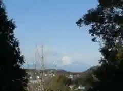 三島神社の自然