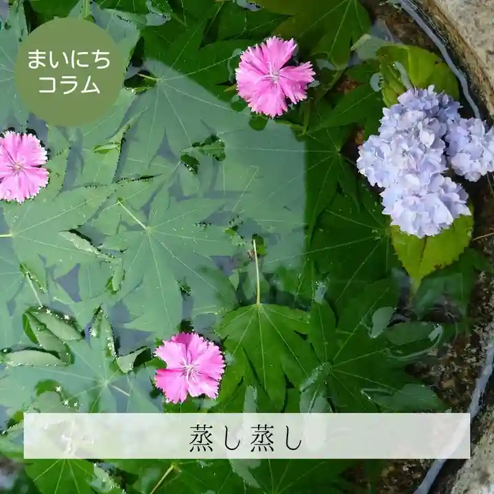 壽徳寺 じゅとくじの手水舎