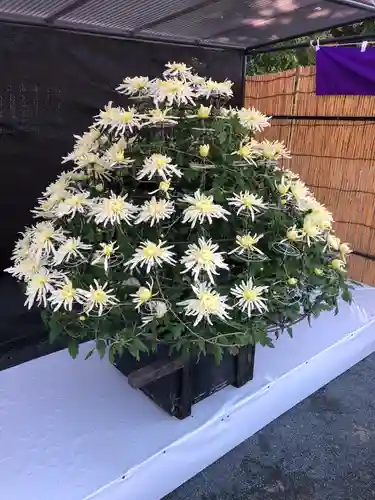 宗像大社の自然