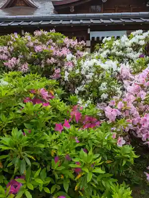 城南宮(京都府)