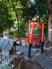 澤蔵司稲荷（慈眼院）(東京都)