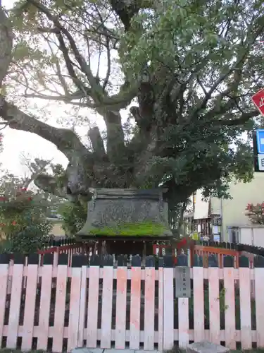 藤木社（賀茂別雷神社末社）(京都府)