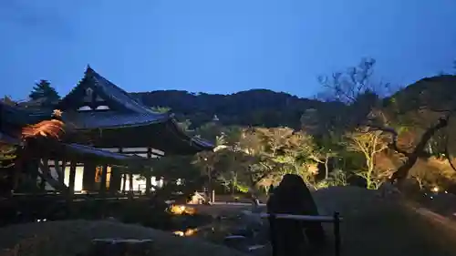 高台寺（高台寿聖禅寺・高臺寺）(京都府)