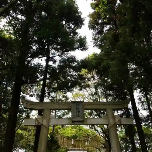 阿波神社の鳥居