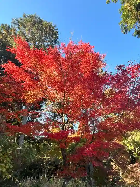 常樂寺(滋賀県)
