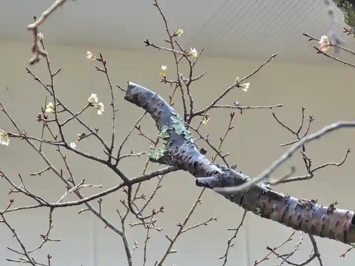 東南院(奈良県)