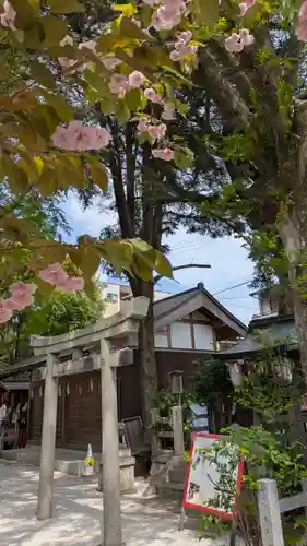 白峯神宮(京都府)