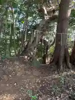 浅間神社(千葉県)