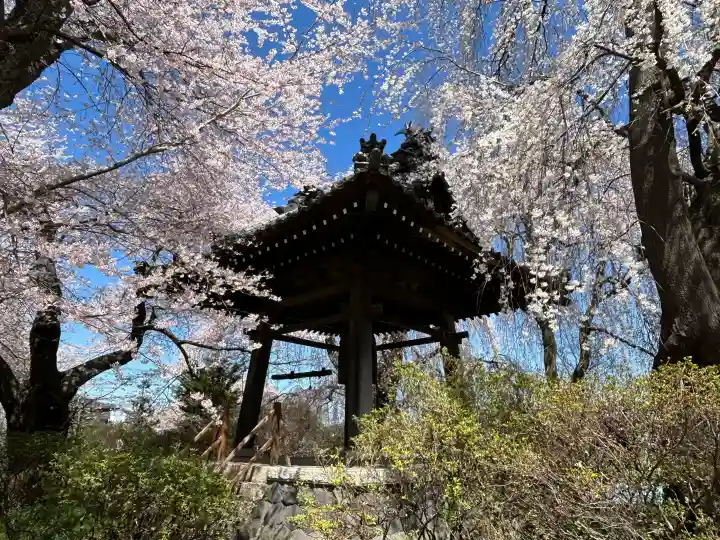 安養寺の{uncategorized: "未分類", other: "その他", undefined: "問題あり", building: "その他建物", grave: "お墓", sacred_gate: "鳥居", guardian: "狛犬", statue: "像", buddha: "仏像", history: "歴史", nature: "自然", garden: "庭園", animal: "動物", pagoda: "塔", temizu: "手水舎", mountain_gate: "山門・神門", sanctuary: "本殿・本堂", subordinate: "末社・摂社", art: "芸術", scenery: "景色", jizo: "地蔵", ema: "絵馬", goshuin: "御朱印", omikuji: "おみくじ", items: "授与品その他", amulet: "お守り", goshuincho: "御朱印帳", eats: "食事", festival: "お祭り", votive_dance: "神楽", shichigosan: "七五三参", wedding: "結婚式", experience: "体験その他", initially: "初詣", around: "周辺", anti_infection: "感染症対策"}